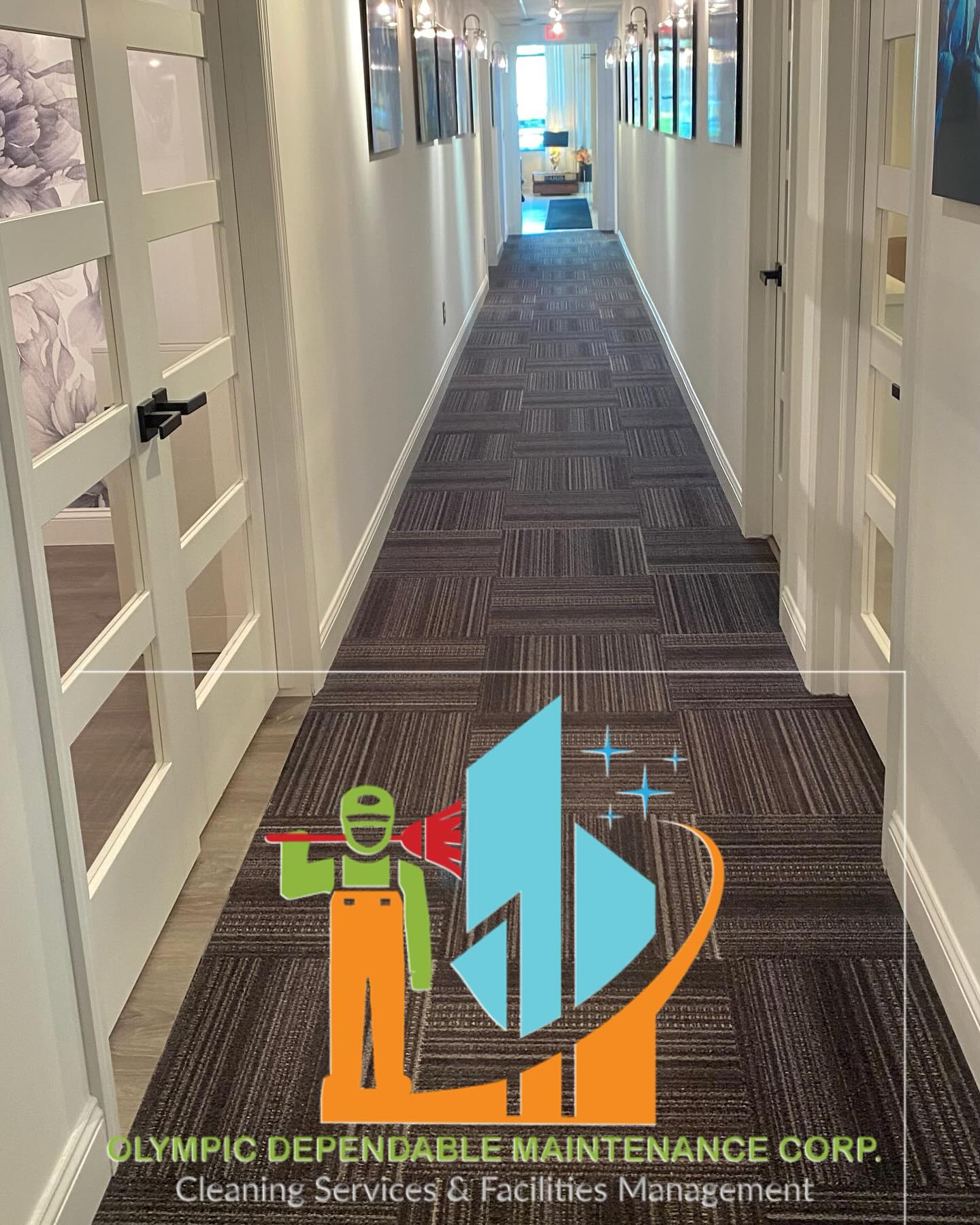 Carpet Care